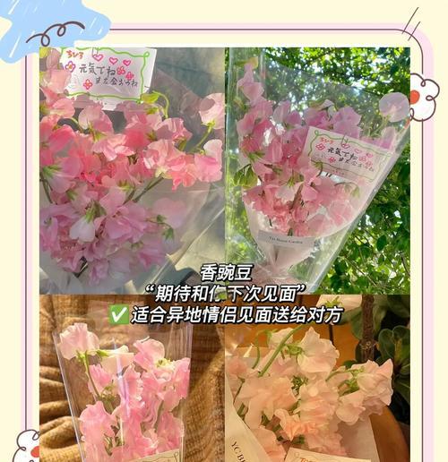 讽刺的花语有哪些？这些花语通常用在什么场合？