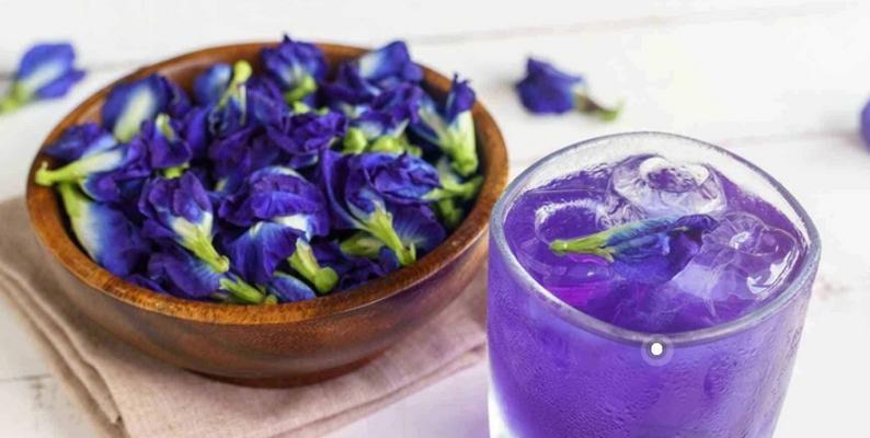 蝶豆花的花语是什么？蝶豆花的象征意义有哪些？