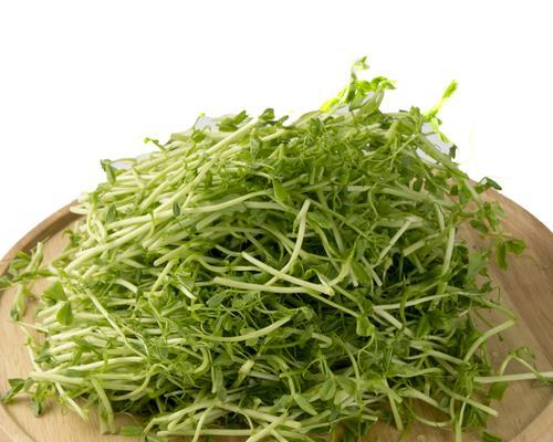 豆苗菜的花语有哪些含义？