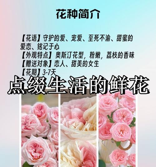 12朵粉玫瑰传递了哪些花语？