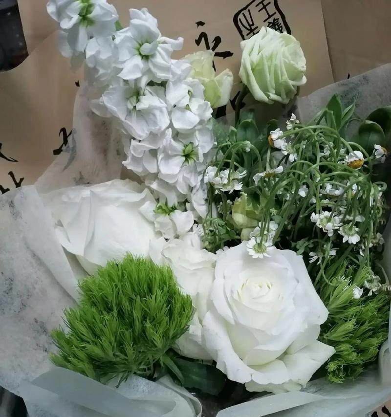 真心实意玫瑰花的养殖方法是什么？如何保持其鲜艳？