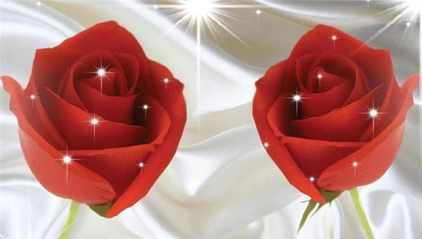 福柯所说的花语是什么？它有何深层含义？