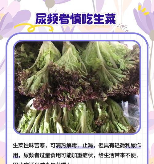 生菜的花语和象征意义是什么？生菜在花语中代表什么？