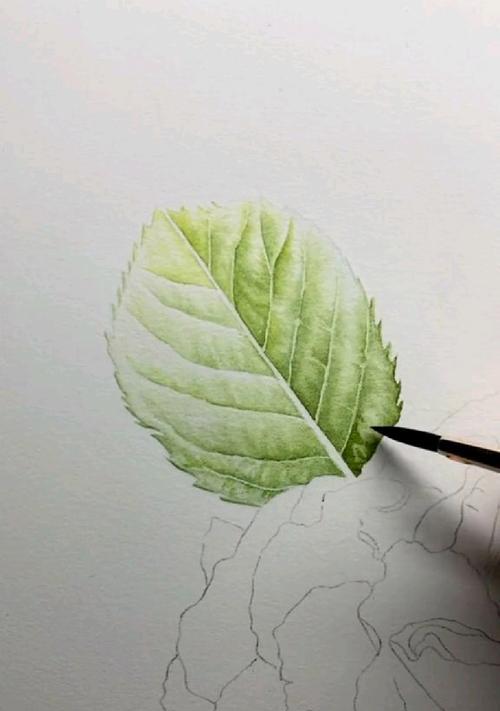 制作玫瑰花需要多少片叶子？
