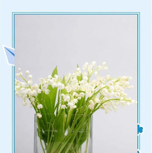哪种花的花语是惊艳影史？