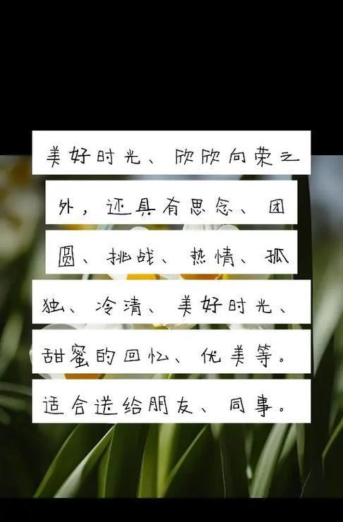 水仙花的花语有哪些？如何解读？