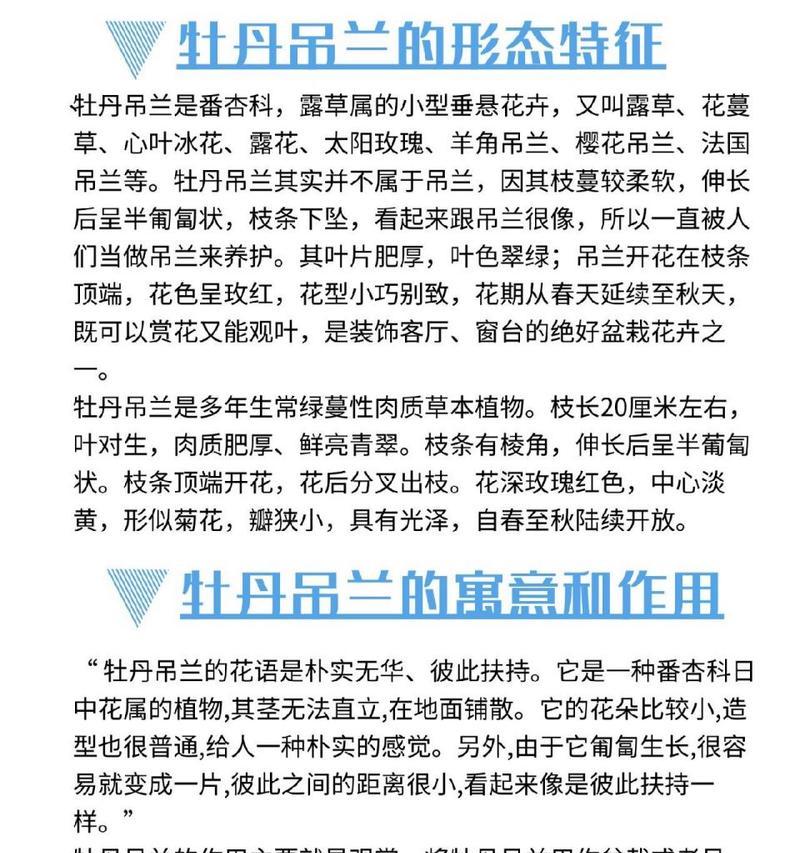 极品芙蓉牡丹花如何养殖才能开花？需要注意哪些事项？