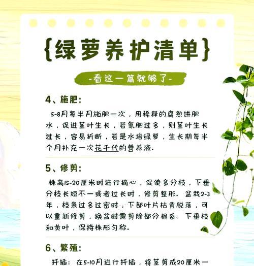 绿箩的花语能否表达对生活的热爱？