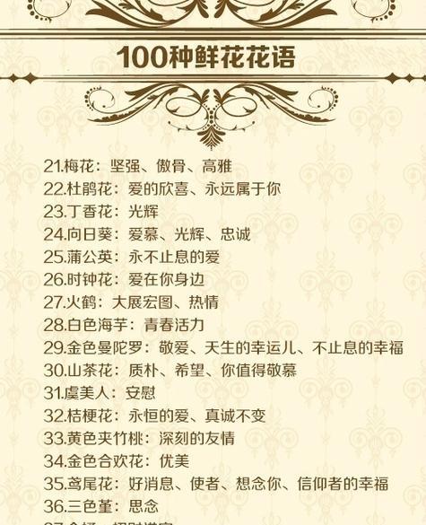 366天花语及其寓意是什么？如何理解这些花语？