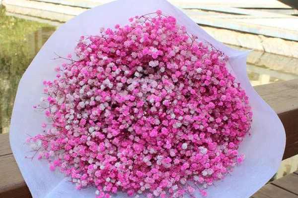 粉玫瑰干花的花语有何特别之处？