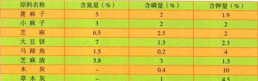 君子兰叶片擦拭时应使用哪种肥料？