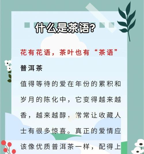 全国范围内通用的花语有哪些？