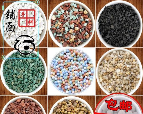 椰壳配土对君子兰的生长有何影响？如何正确养护？