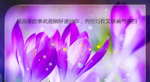 勇气的花语可以用哪些简短句子表达？它们分别代表什么意思？