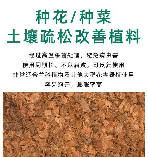 椰壳配土对君子兰的生长有何影响？如何正确养护？