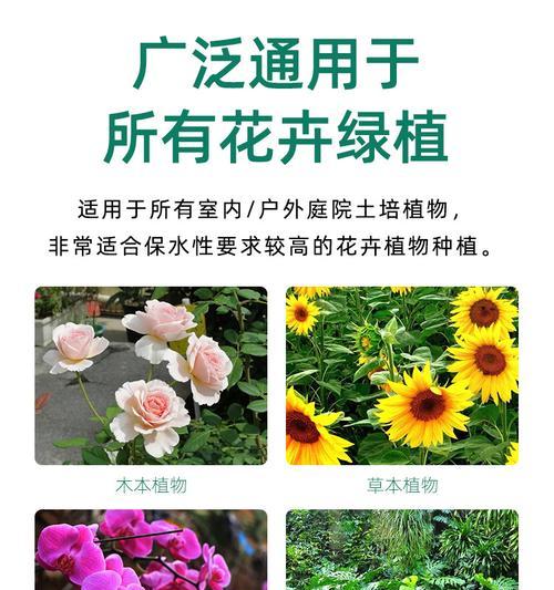 椰壳配土对君子兰的生长有何影响？如何正确养护？