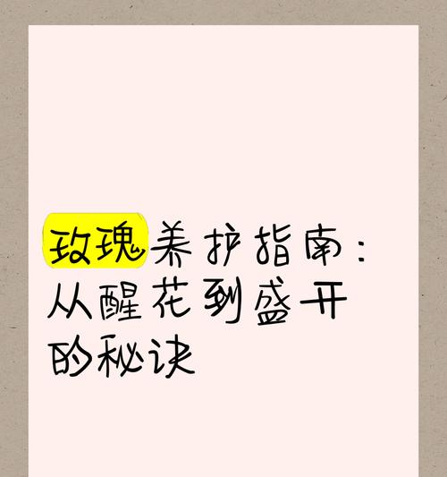 真玫瑰花的正确养护方法是什么？需要注意什么？