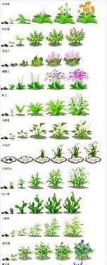 仙人掌根部生长旺盛需要哪些养护措施？