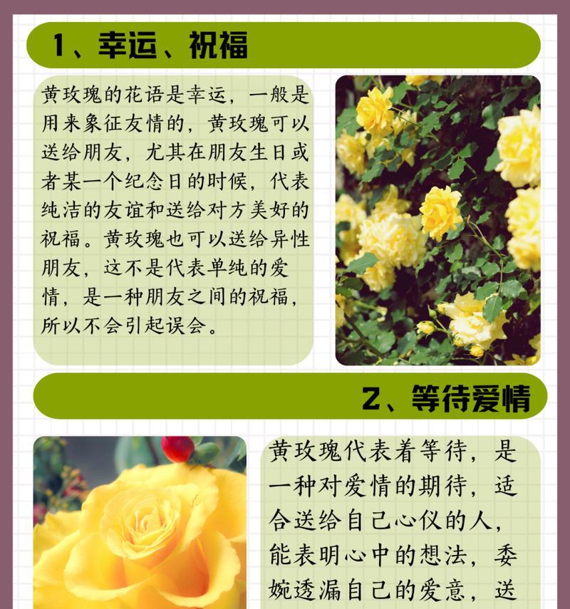 我们都喜欢它的花语代表了什么？
