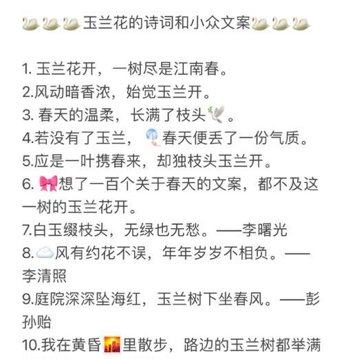 花语芬芳通常表达什么情感？
