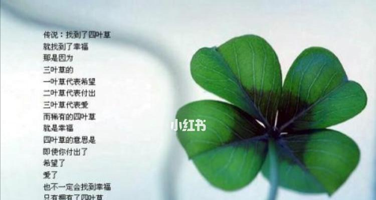 2月24日出生的人花语有何特别之处？
