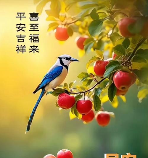 顺心顺意的花语是什么？它有何寓意？