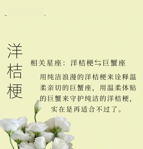 蓝玫瑰与洋桔梗的组合花语有何深意？