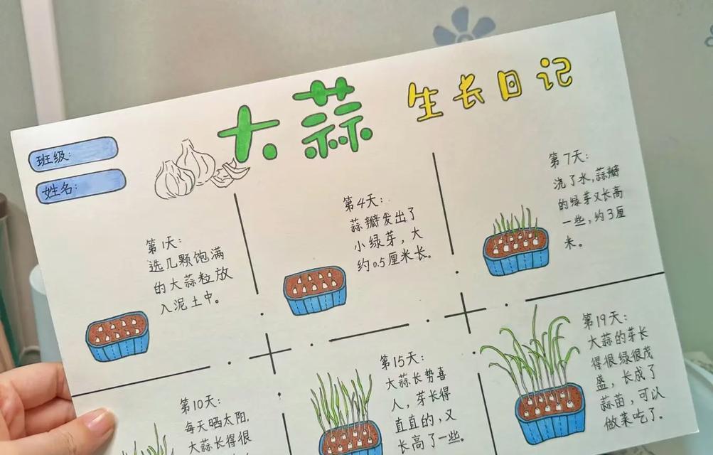 阳台种植仙人掌有哪些技巧？如何保证其健康成长？