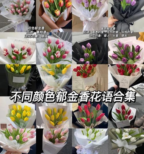 郁金香的花语有哪些特别含义？