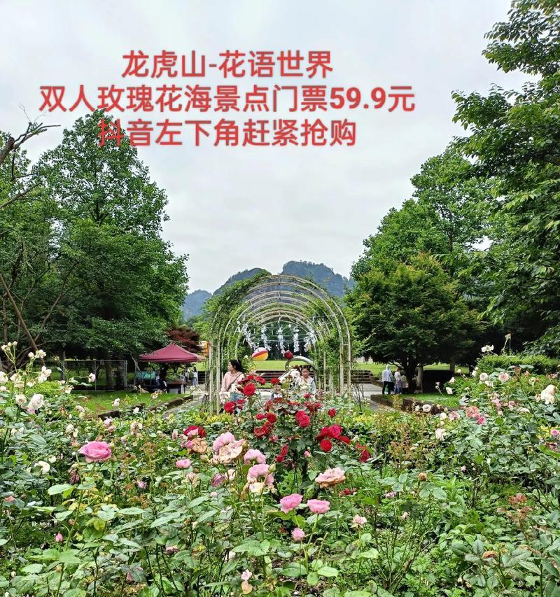 龙虎山花语世界的位置在哪？