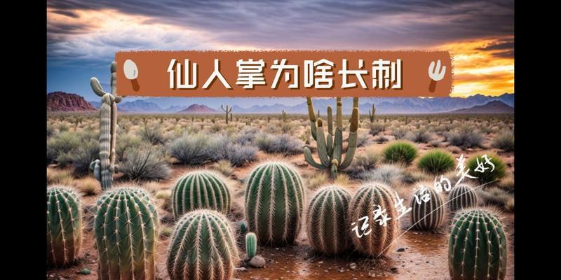仙人掌刺过长时的养护和保养方法是什么？