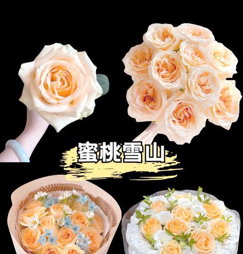 紫罗兰与黄玫瑰组合的花语是什么？