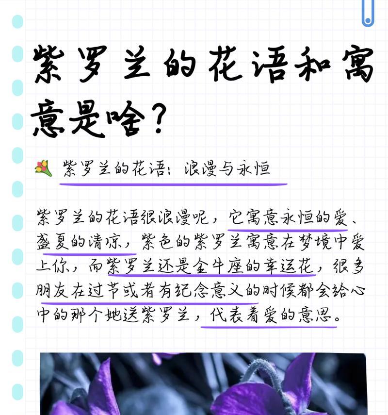 紫罗兰与黄玫瑰组合的花语是什么？