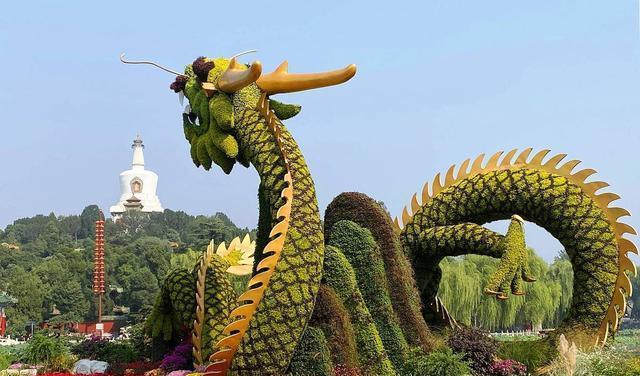 栗子抱抱熊花语代表了哪种动物？它有何寓意？