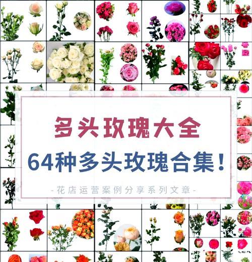 多束玫瑰花花语是什么？不同数量的玫瑰代表什么？