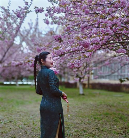 樱花语意思是什么？樱花在不同文化中代表了什么？