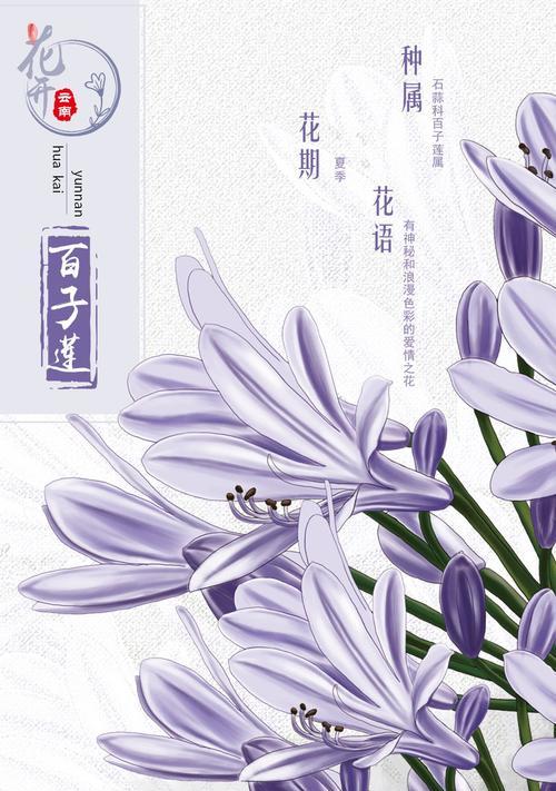 晨露中花语的寓意是什么？