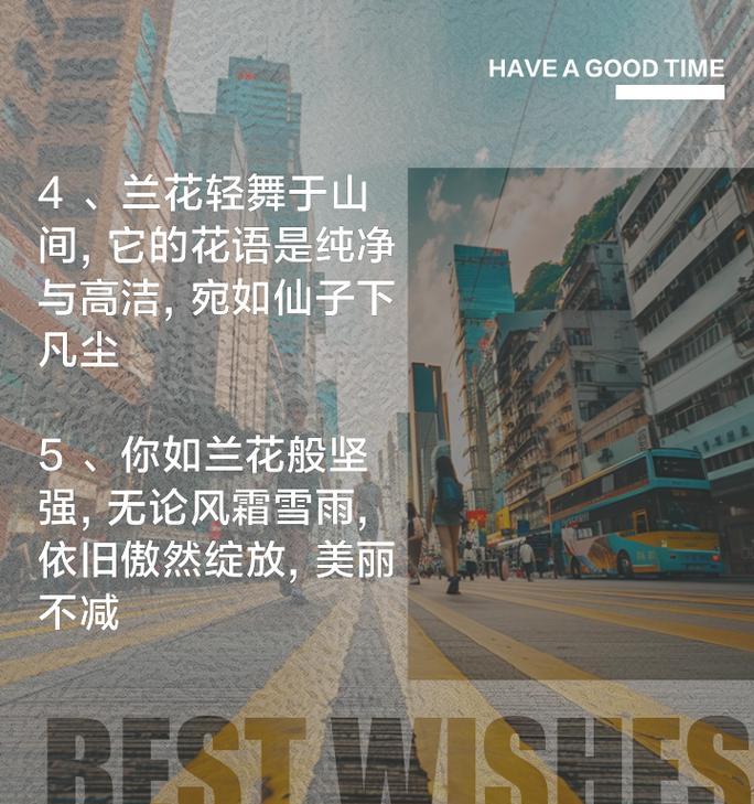 兰花的花语含义代表什么？