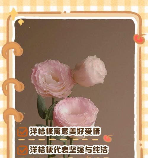细腻的花语是什么？它象征着什么情感？