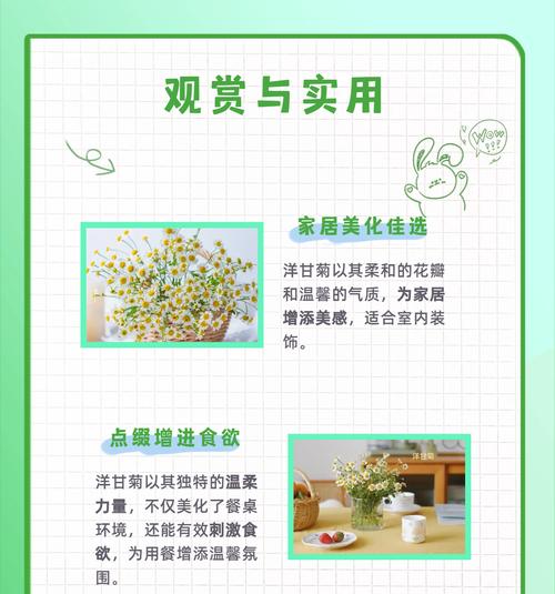 细腻的花语是什么？它象征着什么情感？