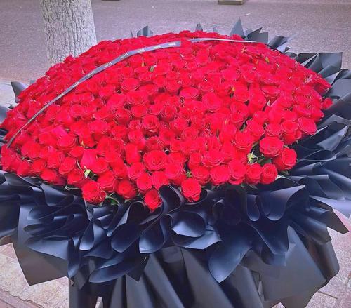 哪种花象征着求婚？花语是“嫁给我”的花是什么？