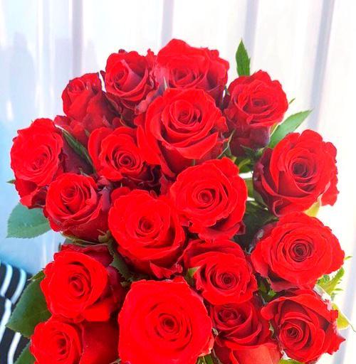 哪种花象征着求婚？花语是“嫁给我”的花是什么？