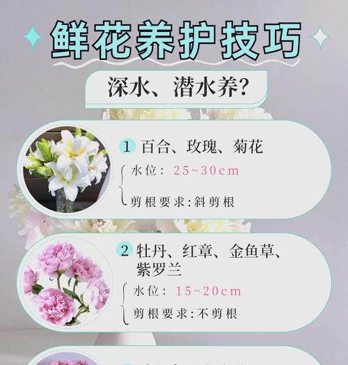 玫瑰花补枝条的最佳方法是什么？