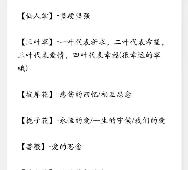 悲伤时哪种花语最能安慰人心？
