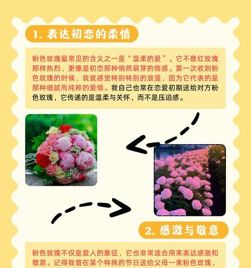 神奇玫瑰的花语有何特别之处？