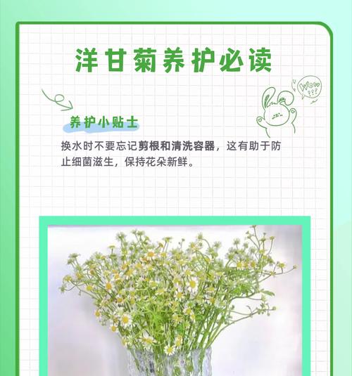 什么花语最美好？哪种花的花语最能触动人心？
