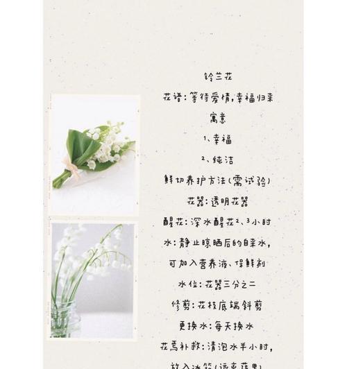 表达情感的花语有哪些？