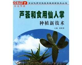 可奈的仙人掌种植方法是什么？如何确保其健康成长？
