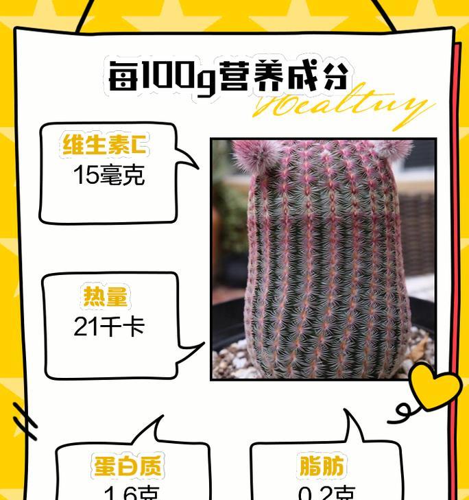 可奈的仙人掌种植方法是什么？如何确保其健康成长？