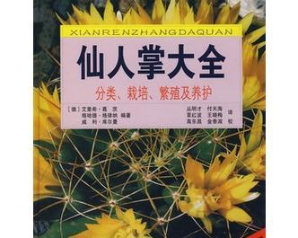 大犀牛仙人掌的养护秘诀是什么？